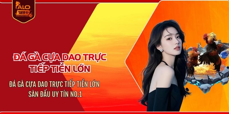 Đá gà cựa dao trực tiếp tiền lớn