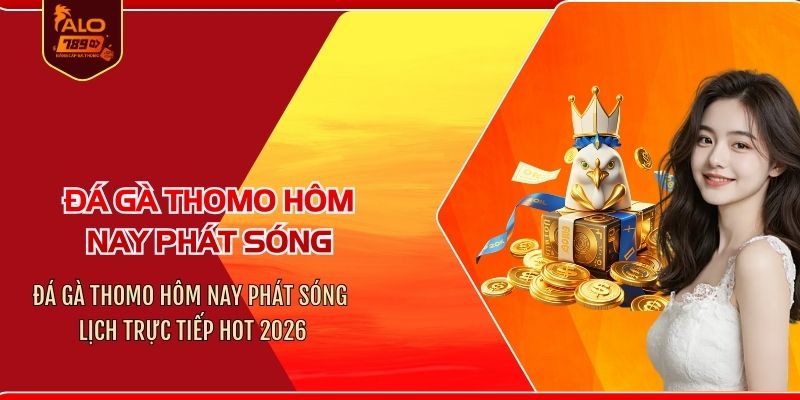 Đá gà Thomo hôm nay phát sóng