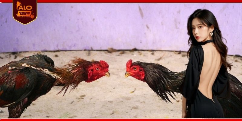 Kinh nghiệm theo dõi trận đấu hiệu quả nhất