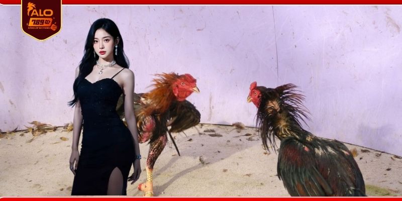 Ưu điểm nổi bật khi theo dõi trực tuyến